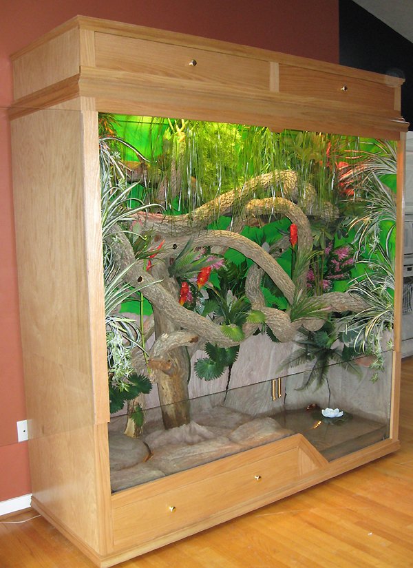 Custom water dragon enclosure hotsell