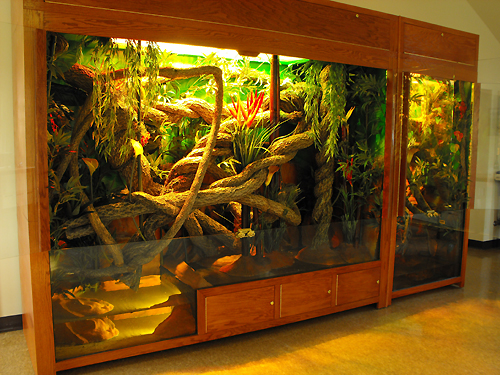 Custom Reptile Cages | Jworlds - www.jworlds.net