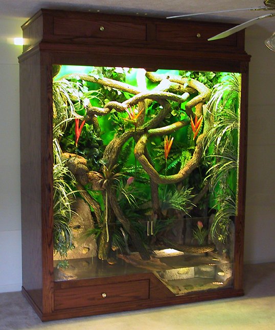 Huge best sale reptile enclosure